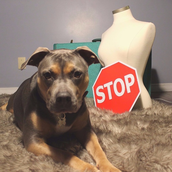 Meet your Posher, Pitstop Vintage - Picture 1 of 1